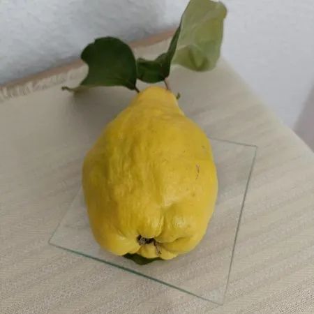 Haus Merlin Am Boeckelsberg Δωμάτια σε οικογενειακή κατοικία Βαϊμάρη