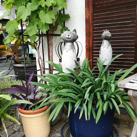 Haus Merlin Am Boeckelsberg Δωμάτια σε οικογενειακή κατοικία Βαϊμάρη