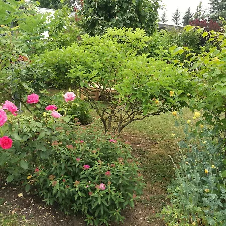 Haus Merlin Am Boeckelsberg