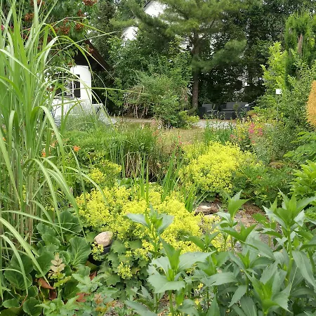 Haus Merlin Am Boeckelsberg Δωμάτια σε οικογενειακή κατοικία *