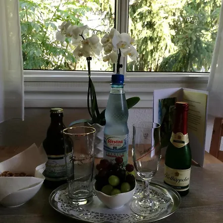 Δωμάτια σε οικογενειακή κατοικία Haus Merlin Am Boeckelsberg Βαϊμάρη