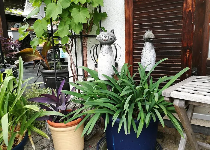 Haus Merlin Am Boeckelsberg Habitación en casa particular Weimar (Thuringia)