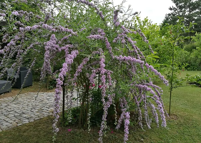 Haus Merlin Am Bockelsberg Privat bolig