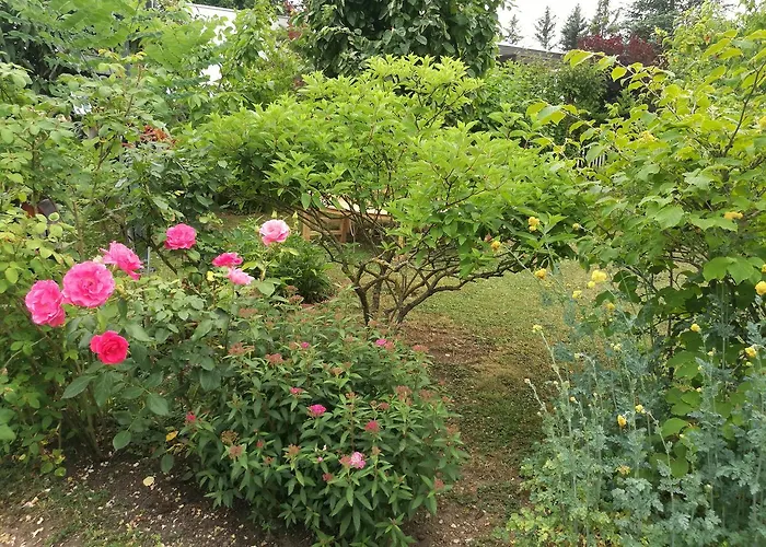 Haus Merlin Am Boeckelsberg