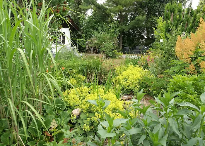 Haus Merlin Am Boeckelsberg Habitación en casa particular *